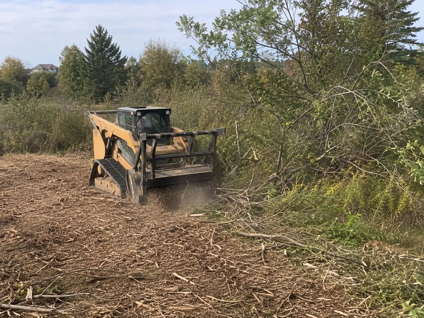 Compact vegetation mulcher working on dense Rotorua scrub