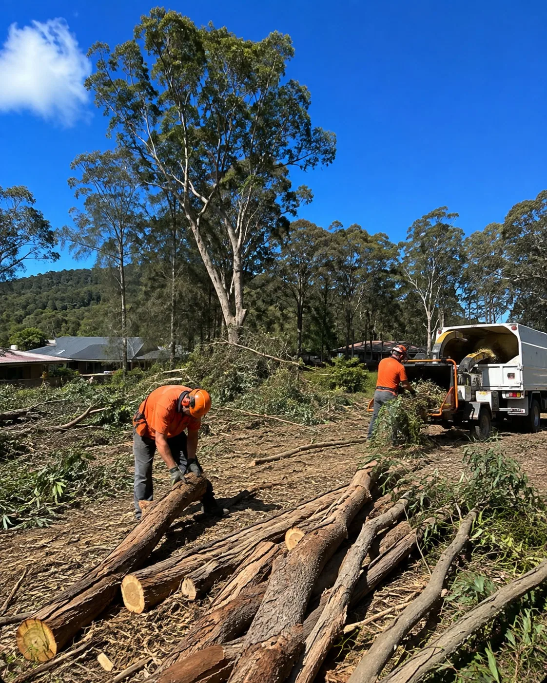 A professional crew clearing dense vegetation from a Rotorua section