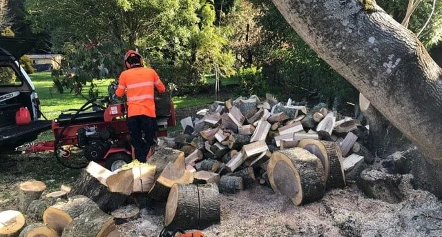 tree cutting rotorua