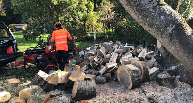 tree cutting rotorua